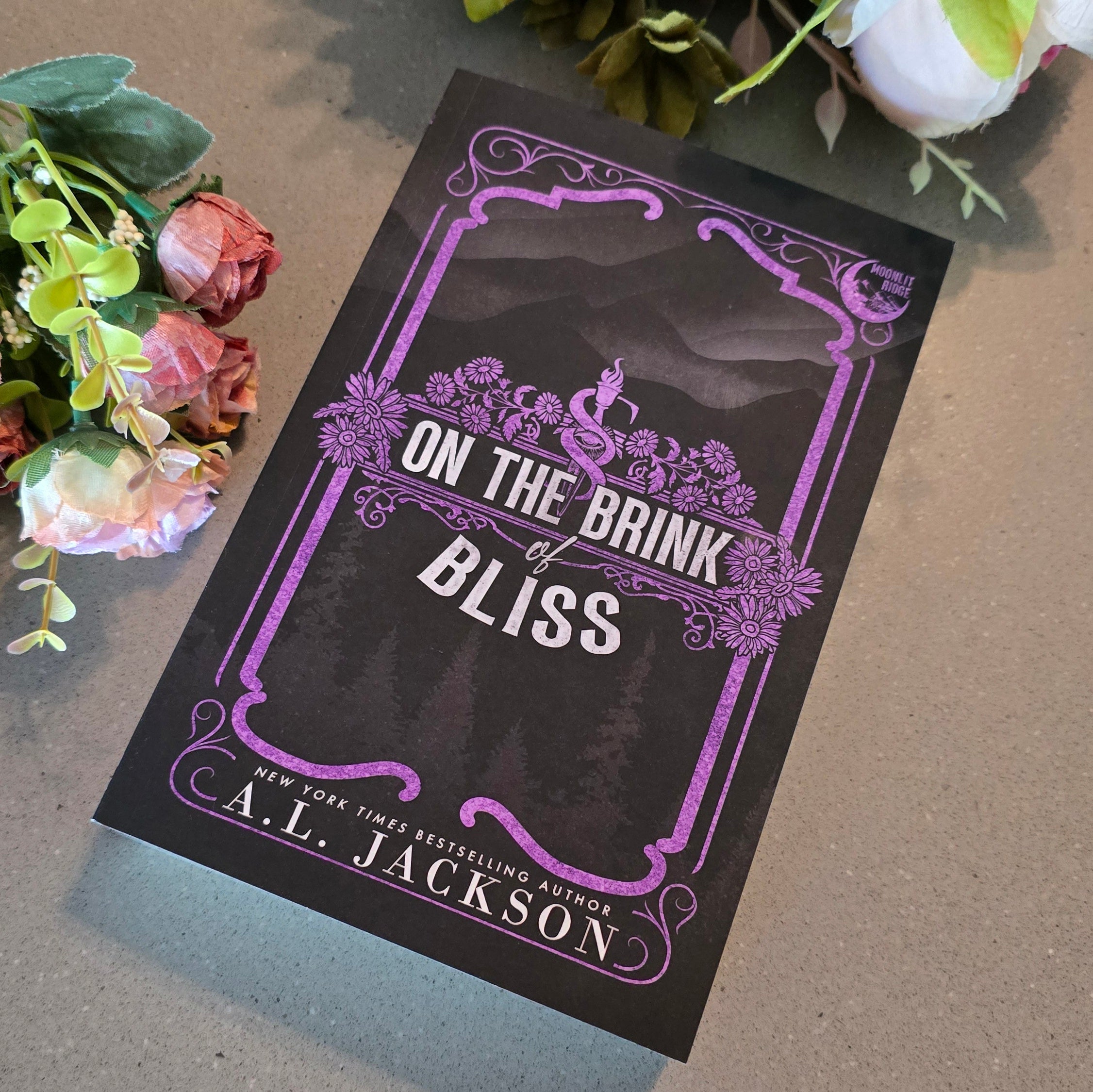 On the Brink of Bliss Paperbacks & Hardbacks